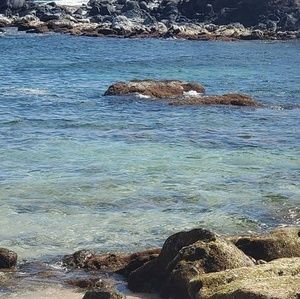 Meet your Posher, Kimm